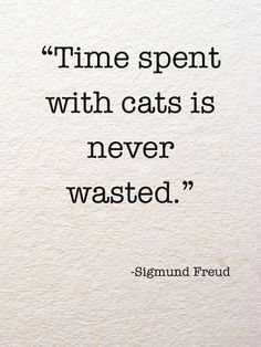 a quote on time spent with cats is never wasted by the cat's owner