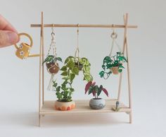 a hand is holding a key to a miniature shelf with potted plants on it