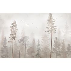 a foggy forest with birds flying over the trees