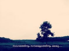 a lone tree in the middle of a field with an inspirational quote written below it