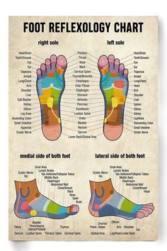 Massage Therapist Foot Reflexology Chart Poster High quality resin-coated photo base paper. Satin photo finish, maximum color gamut, dmax, and image resolution Foot Reflexology, Massage Benefits, Sciatic Nerve, Foot Massage, Pressure Points, Reflexology