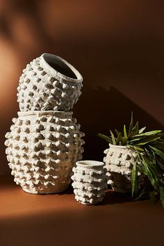 three white vases sitting next to each other on a brown surface with one plant in the foreground