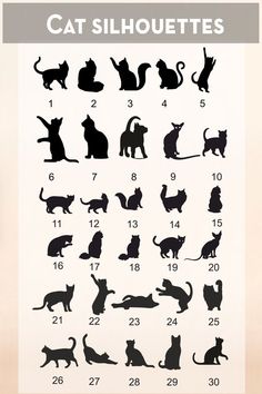 the silhouettes of cats are shown in different sizes and colors, with numbers on each side