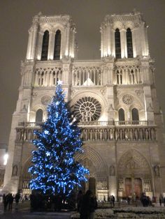 a blue christmas tree in front of a large cathedral with lights on it's windows