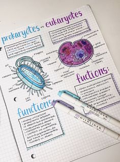 Biology notes on eukaryotes and prokaryotes Aesthetic Notes For Biology, Aesthetic Notes Biology Cells, Pre Med Notes Aesthetic, Notebook Study Ideas, Bio Aesthetic Notes, Biology Notes Prokaryotes And Eukaryotes, Bacteria Notes Aesthetic, Biology Unit 1 Notes, Science Revision Aesthetic