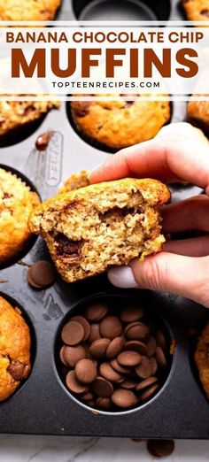 banana chocolate chip muffins in a muffin tin with chocolate chips on the side