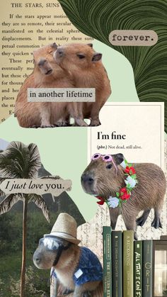 a collage of pictures with animals and words