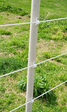 a close up of a wire fence with grass in the background