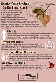 Digestive Problems, Eye Vitamins, Pineal Gland, The Third Eye, Endocrine System, 3rd Eye