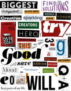 a collage of different types of typographs