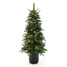 a potted christmas tree with lights on it