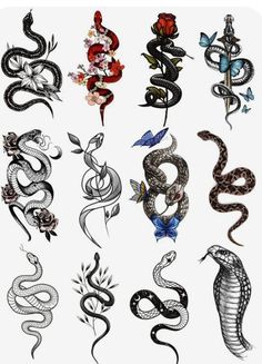 snakes and flowers tattoo designs on white paper