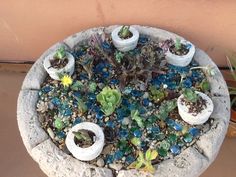 a potted planter filled with succulents and rocks