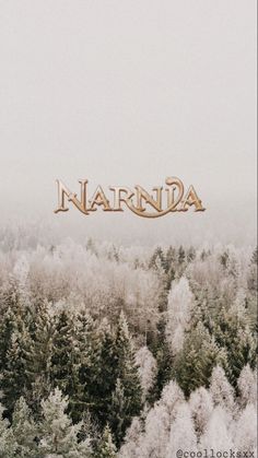 the word narnda is surrounded by snow covered trees in front of a foggy sky