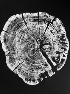 a black and white photo of a tree stump with the cross section cut in half