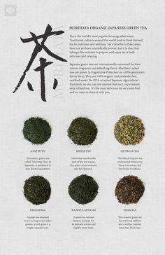 an image of different types of herbs