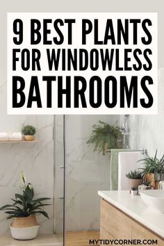 bathroom with plants in the middle and text overlay that reads 9 best plants for windowless bathrooms