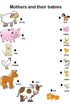 the worksheet for mother and their babies with pictures of farm animals on it