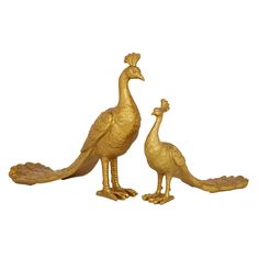 two golden birds standing next to each other