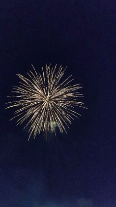 fireworks are lit up in the dark night sky with no one around them to see it