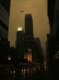 a city street at night with tall buildings and a bird flying in the sky above