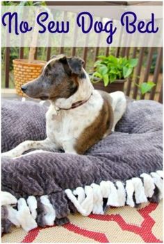 a dog laying on top of a bed with the words, no sew dog bed