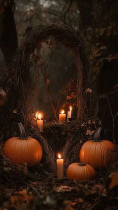 pumpkins and candles are arranged in the woods