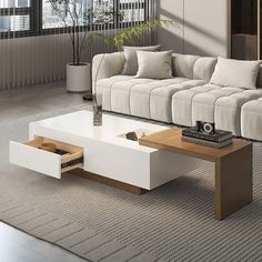 a living room with a couch, coffee table and planter in it's center