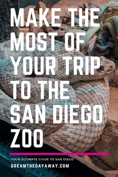 a large snake with the words make the most of your trip to the san diego zoo