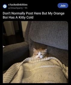 an orange and white cat laying on top of a couch next to a blanket with the caption don't normally post here but my orange boi has a kitty cold