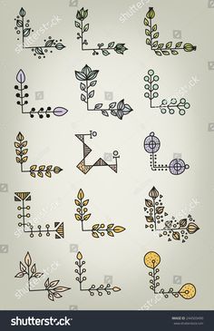 an abstract set of plants and flowers