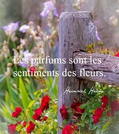 a wooden fence surrounded by flowers with a quote on the top that says, les parfums sonts seinments des fl centrees