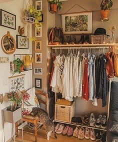 a cat standing in front of a closet filled with shoes and clothes hanging on the wall