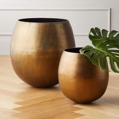 two vases sitting on top of a wooden table next to a green leafy plant