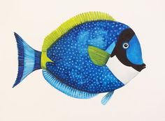 a blue and yellow fish painted on white paper