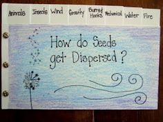 a piece of paper with writing on it that says how do seeds get disperd?