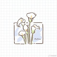 three white flowers are in a square frame