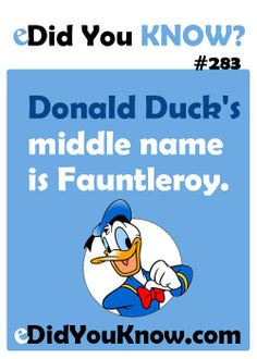 donald duck's middle name is fauntlerboy, did you know?