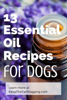 a bottle filled with essential oils next to purple flowers and the words 13 essential oil recipes for dogs