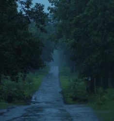 an empty road in the middle of some trees