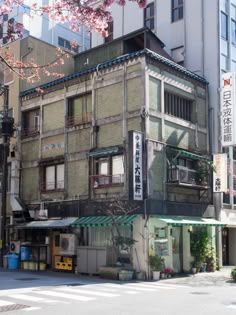 an old building with many windows and balconies on the top floor, in front of a cherry blossom tree