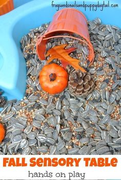 an orange and blue plastic bucket filled with seeds