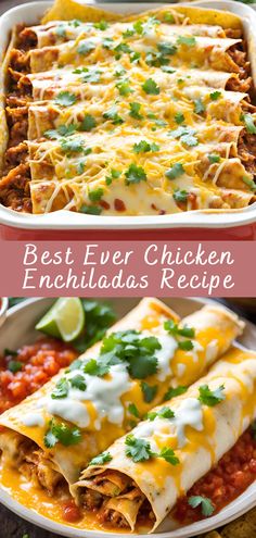 the best ever chicken enchiladas recipe