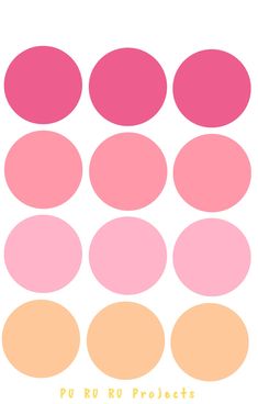 pink and orange circles with the words pu ru projects