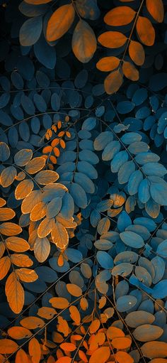 an image of some leaves that are in the air with orange and blue colors on them