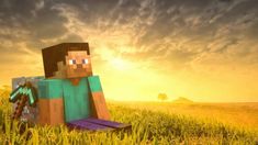 an image of a minecraft character sitting in the middle of a grassy field with the number 33 on it