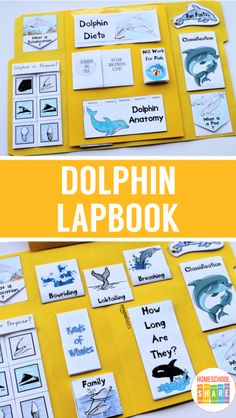 the dolphin lapbook is an easy way to teach children about dolphins