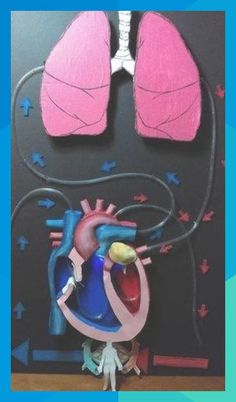 an art project made out of paper and cardboard with a human heart on it's chest