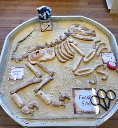 a sand tray with some fake bones and scissors on it that is in the shape of a human skeleton