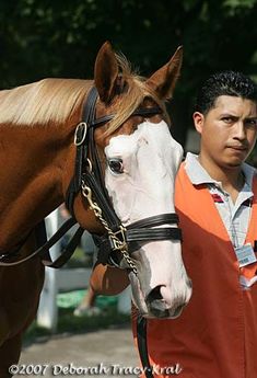 a man standing next to a brown and white horse